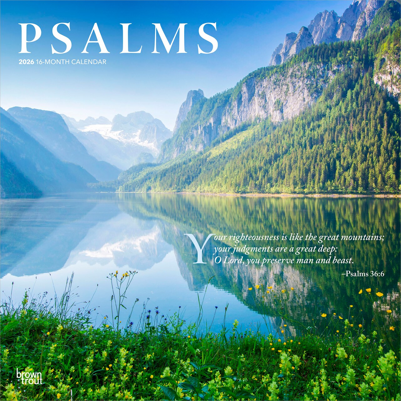 Psalms | 2026 12 x 24 Inch (Hanging) Monthly Square Wall Calendar | Plastic-Free